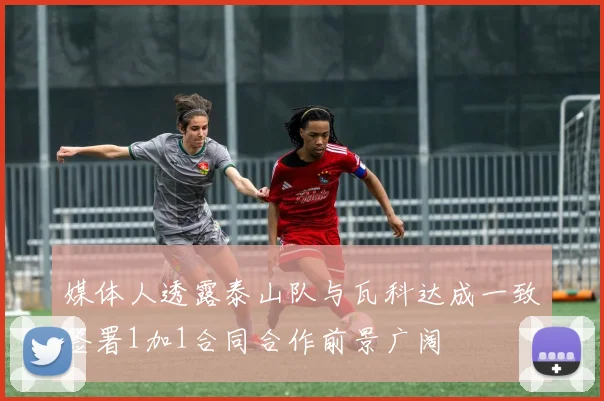 媒体人透露泰山队与瓦科达成一致签署1加1合同合作前景广阔