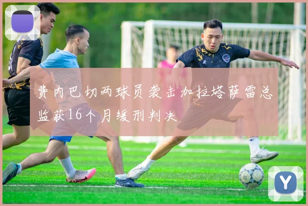 费内巴切两球员袭击加拉塔萨雷总监获16个月缓刑判决